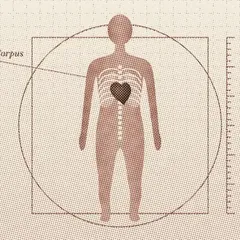 Illustration de la rubrique Body
